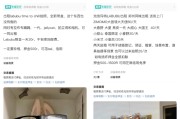 紫微算命闲鱼：LABUBU搜索量环比上涨1000%，供不应求下现租赁新形式