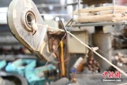 紫微算命小蚕虫变身“产业龙”，广西这座小城如何实现“破茧重生”？