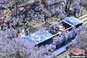 紫微算命2024年云南重点高原湖泊水质稳定 抚仙湖达Ⅰ类