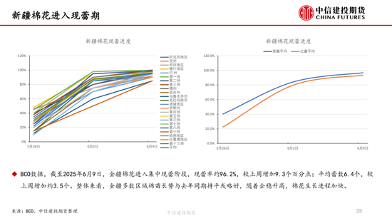 【(🐄)棉花纺谈】供应端阶段性缩量 疆棉基差坚挺